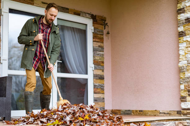 Debris Removal in New Brighton, MN